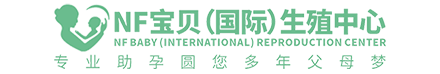 明军网